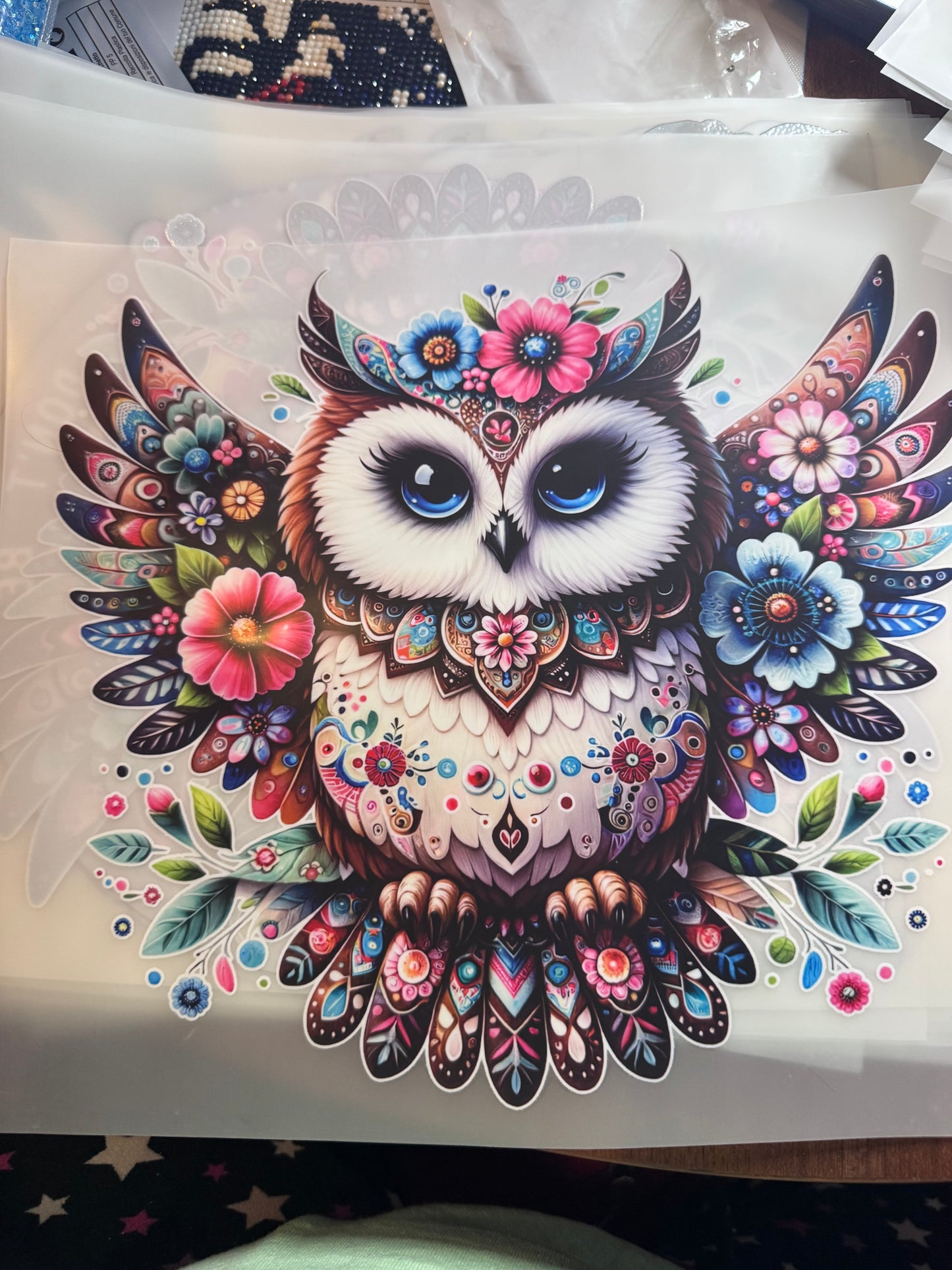 Owl